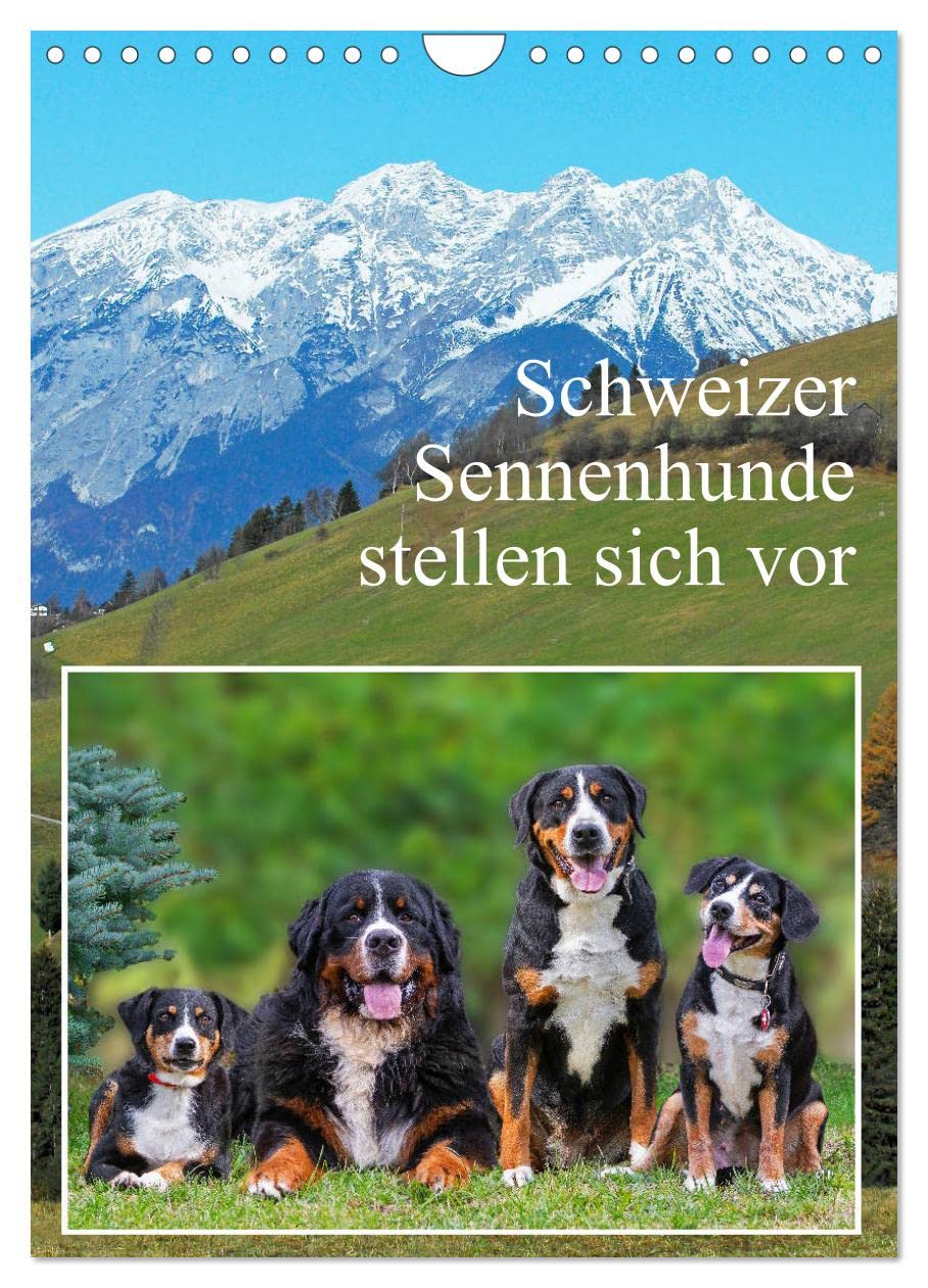Schweizer Sennenhunde stellen sich vor (Wandkalender 2026 DIN A4 hoch), CALVENDO Monatskalender Natural Sciences
