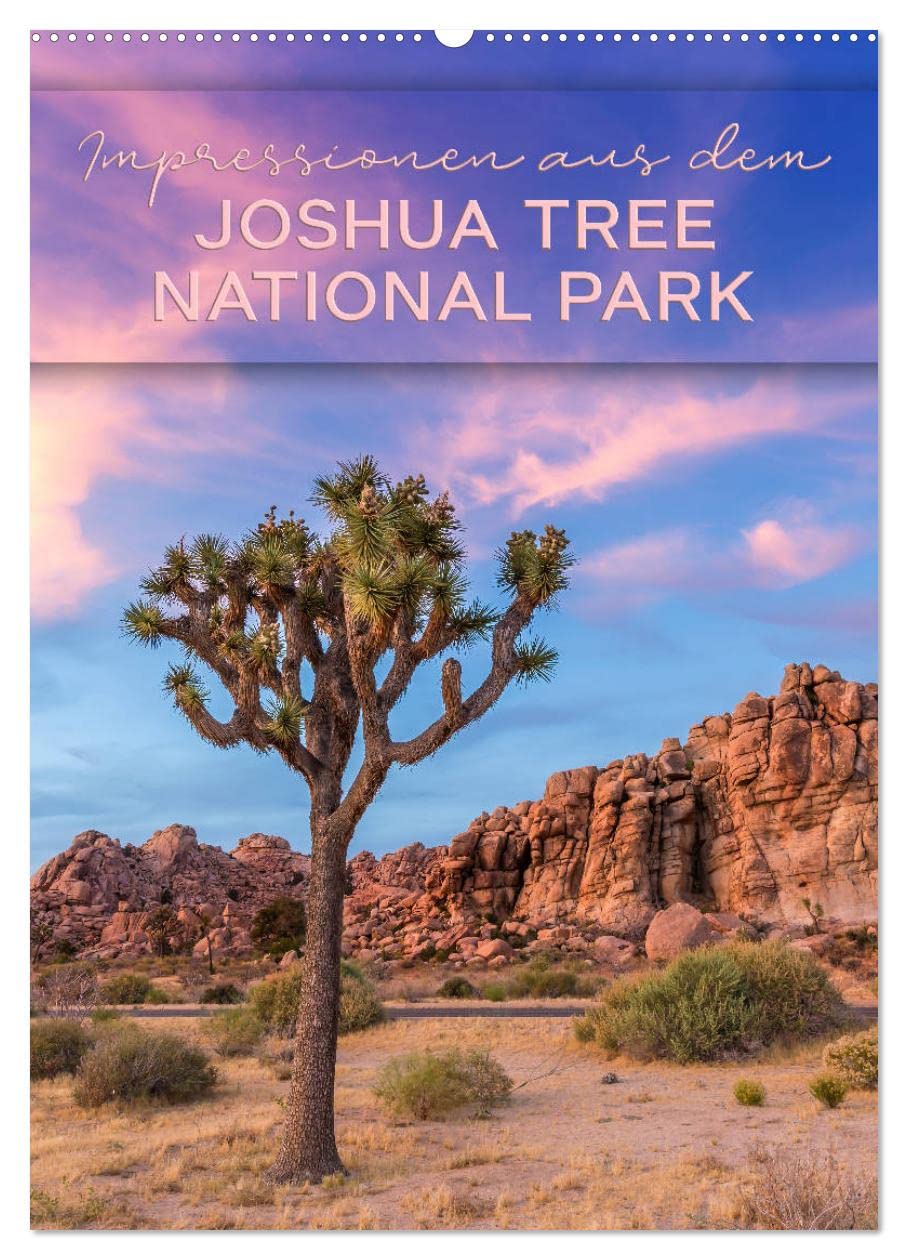 Impressionen aus dem JOSHUA TREE NATIONAL PARK (Wandkalender 2026 DIN A2 hoch), CALVENDO Monatskalender Film, Art & Culture