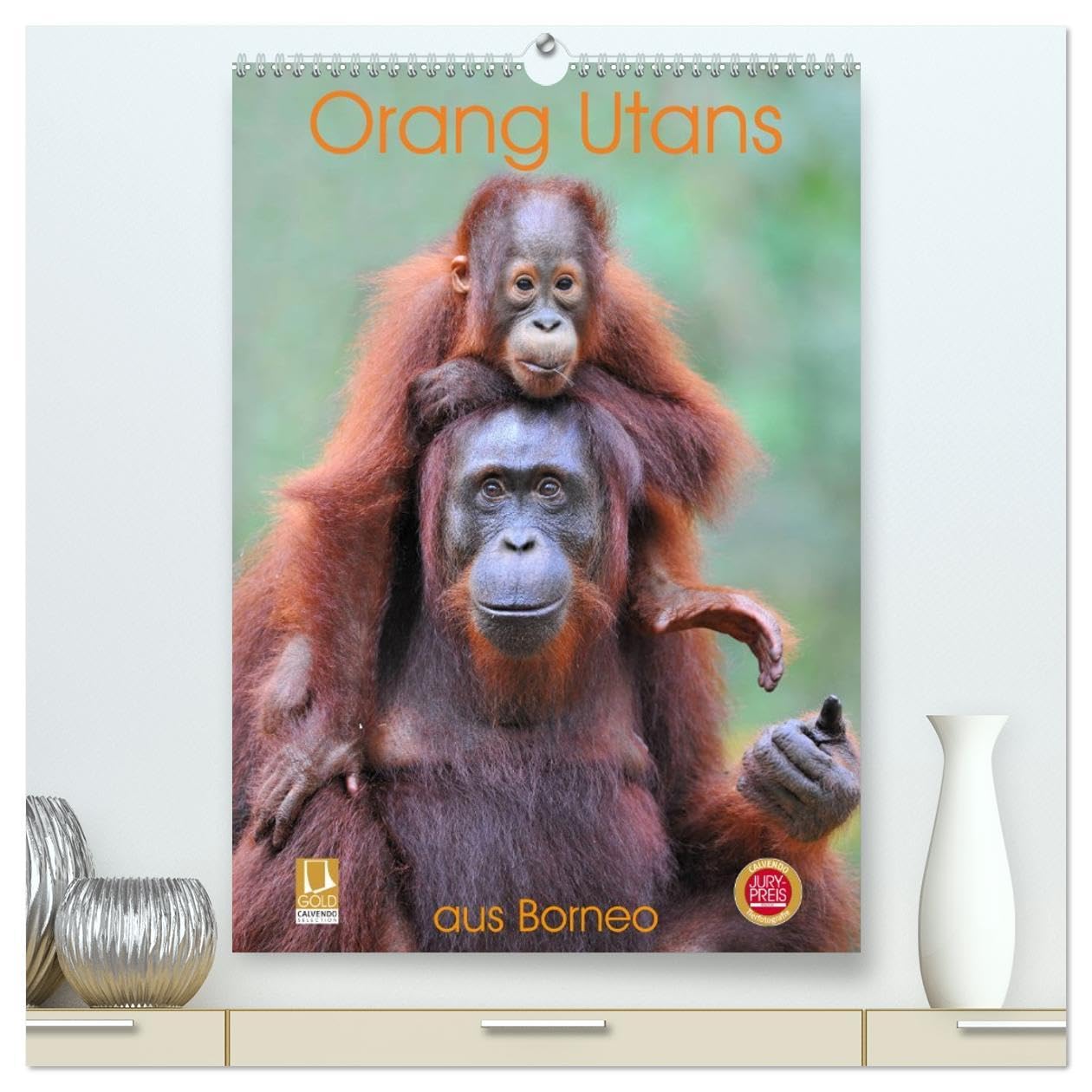 Orang Utans aus Borneo (hochwertiger Premium Wandkalender 2026 DIN A2 hoch), Kunstdruck in Hochglanz: Die sanftmütigen Wald-Menschen aus dem indonesischen Regenwald (CALVENDO Tiere) Leisure, Home & Garden