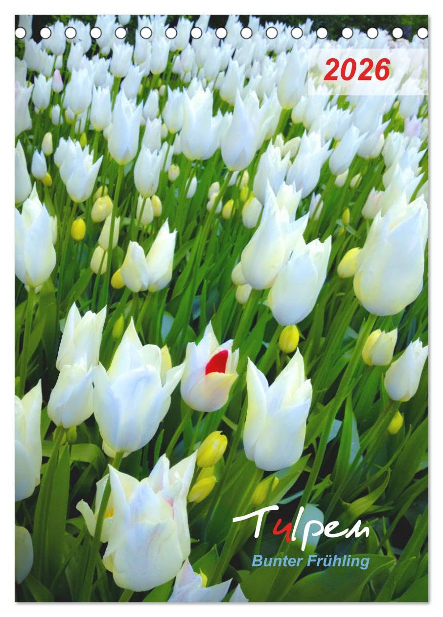Tulpen. Bunter Frühling (Tischkalender 2026 DIN A5 hoch), CALVENDO Monatskalender Photography