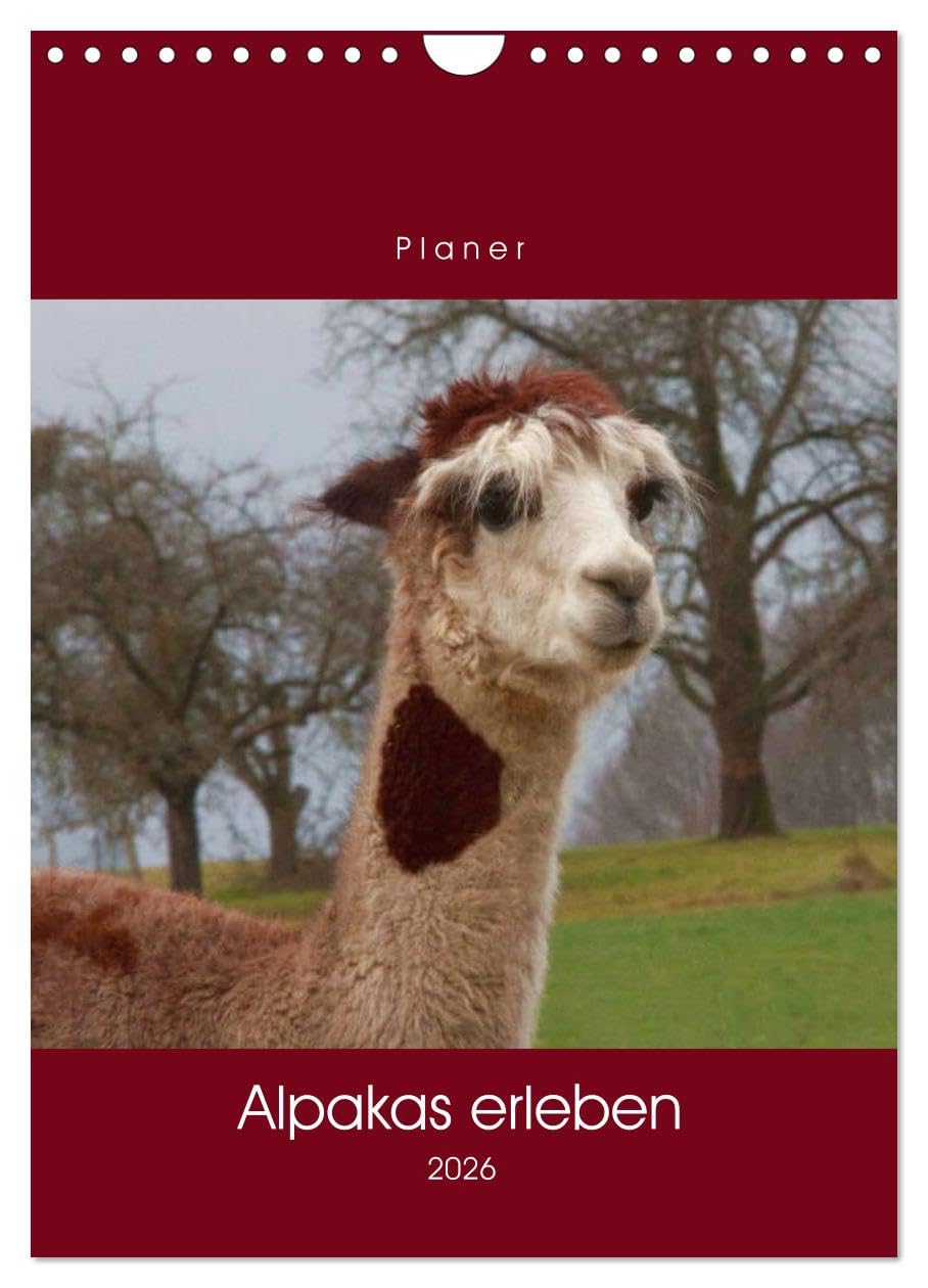 Alpakas erleben (Wandkalender 2026 DIN A4 hoch), CALVENDO Monatskalender Natural Sciences