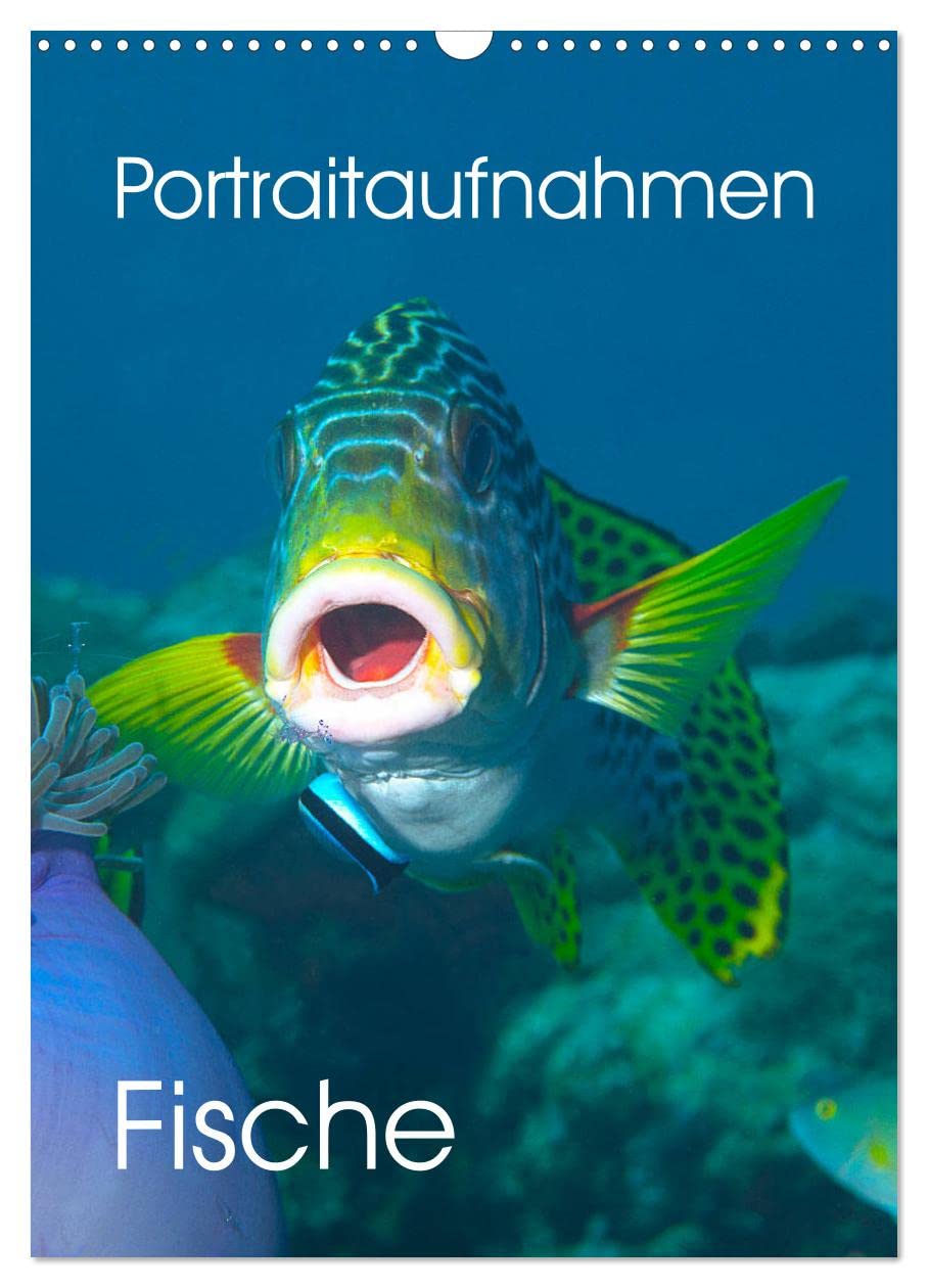 Portraitaufnahmen - Fische (Wandkalender 2026 DIN A3 hoch), CALVENDO Monatskalender Leisure, Home & Garden