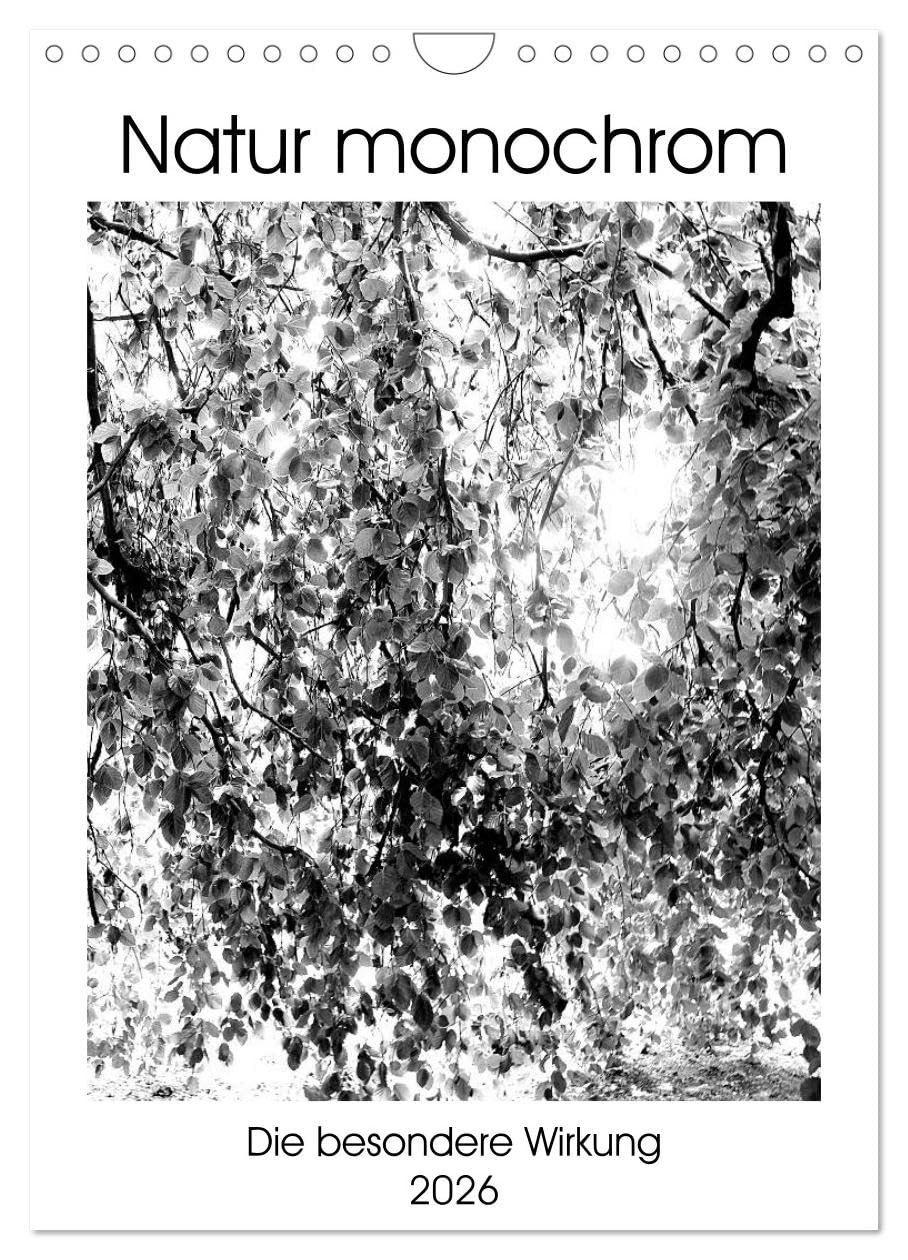 Natur monochrom Die besondere Wirkung (Wandkalender 2026 DIN A4 hoch), CALVENDO Monatskalender Photography