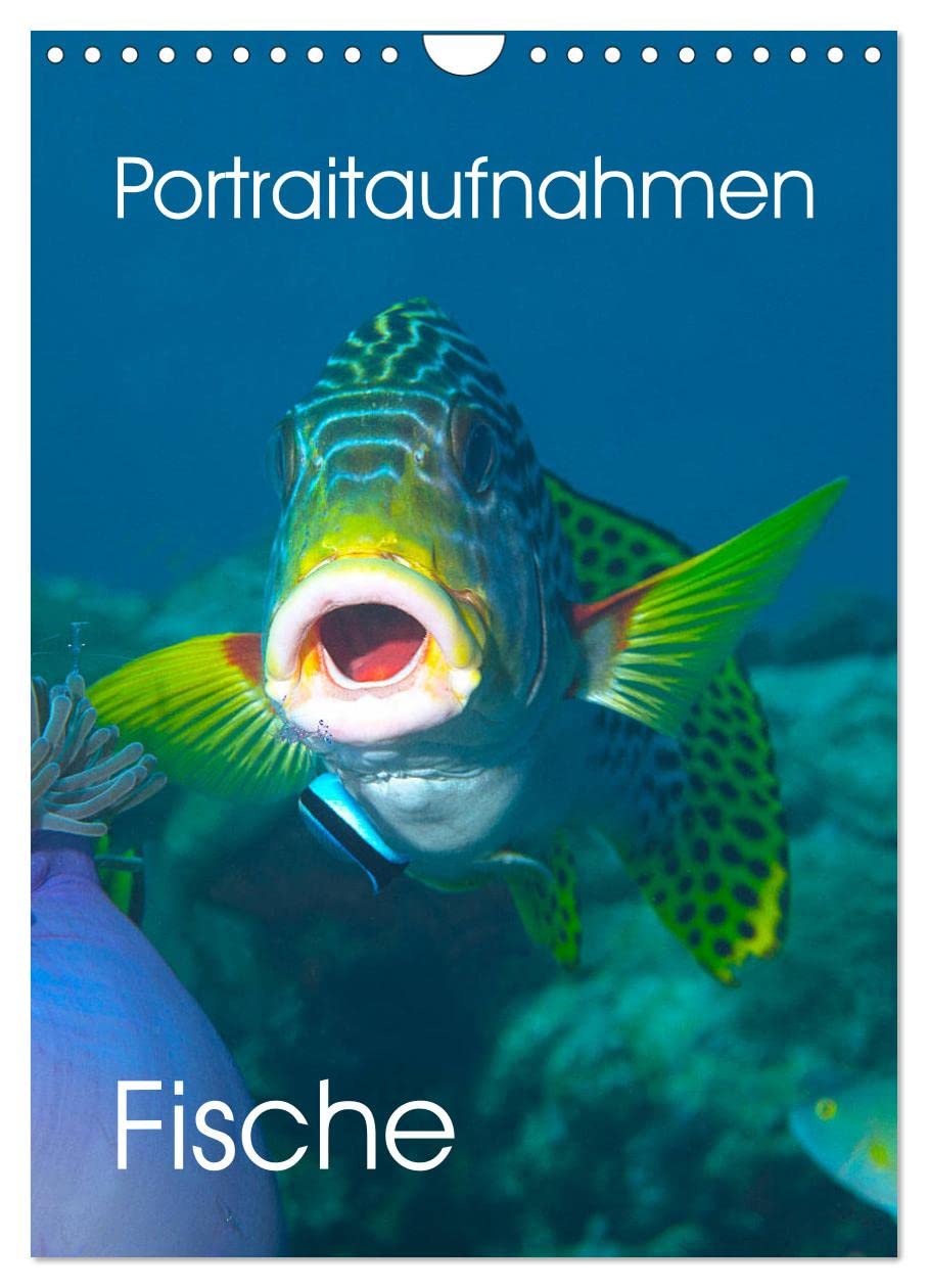 Portraitaufnahmen - Fische (Wandkalender 2026 DIN A4 hoch), CALVENDO Monatskalender Leisure, Home & Garden