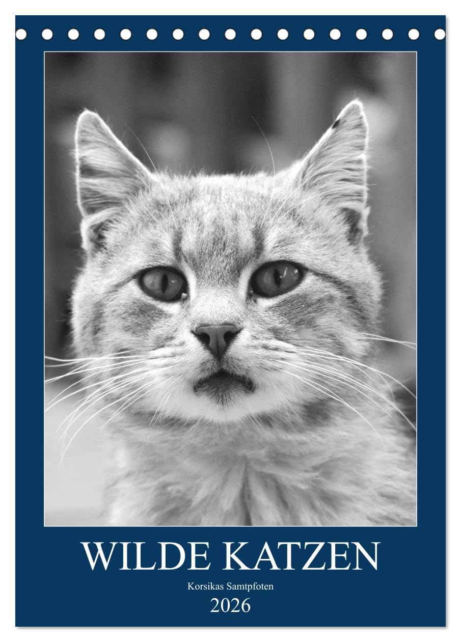 Wilde Katzen - Korsikas Samtpfoten (Tischkalender 2026 DIN A5 hoch), CALVENDO Monatskalender Leisure, Home & Garden
