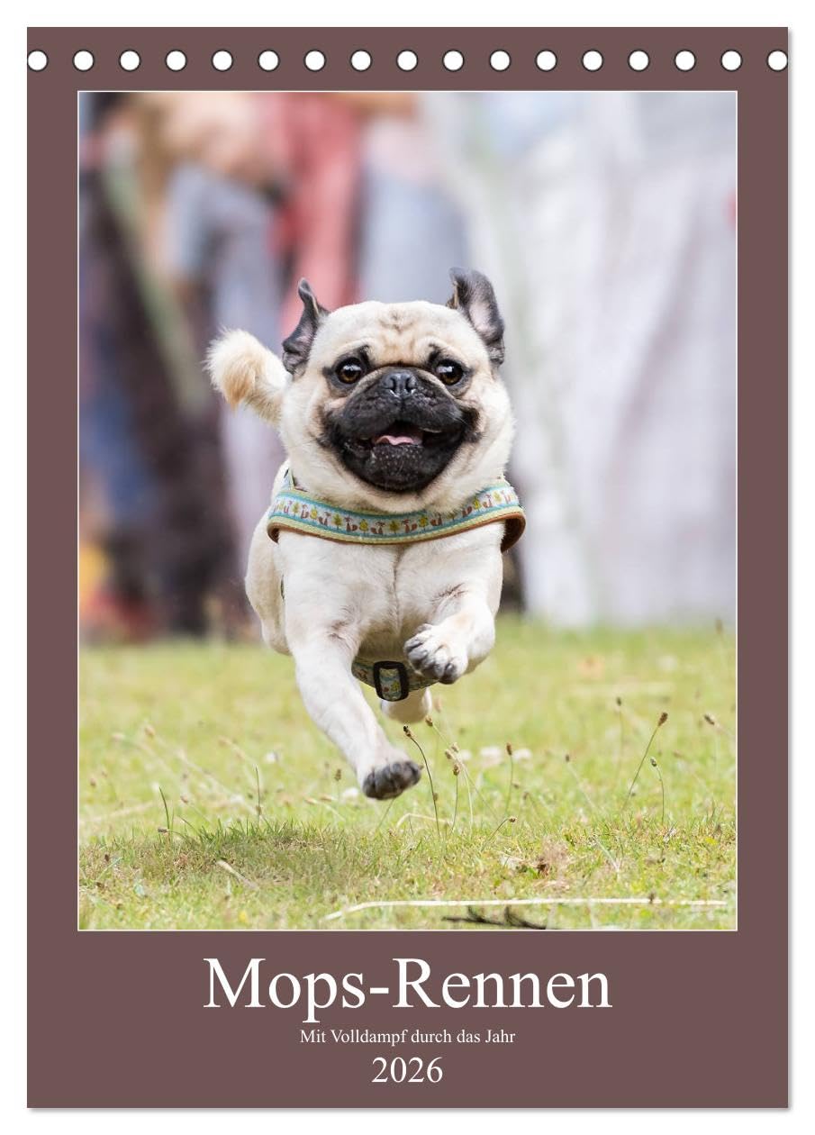Mops-Rennen (Tischkalender 2026 DIN A5 hoch), CALVENDO Monatskalender Natural Sciences