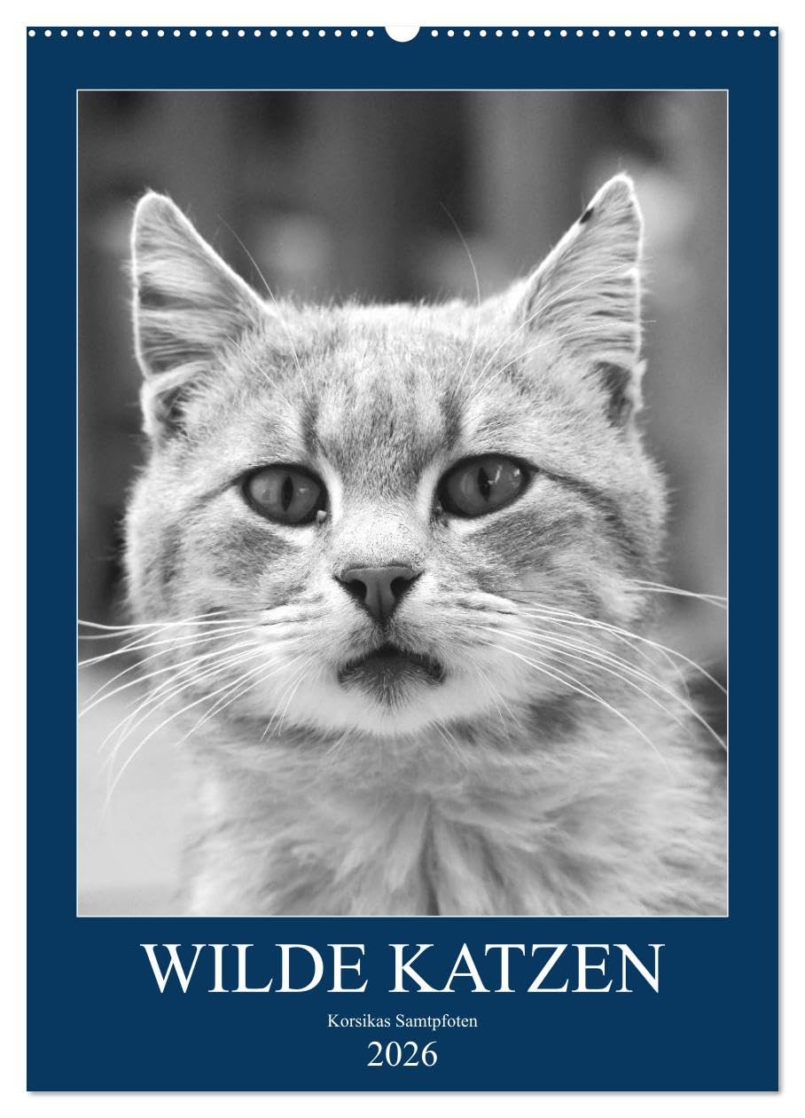 Wilde Katzen - Korsikas Samtpfoten (Wandkalender 2026 DIN A2 hoch), CALVENDO Monatskalender Leisure, Home & Garden