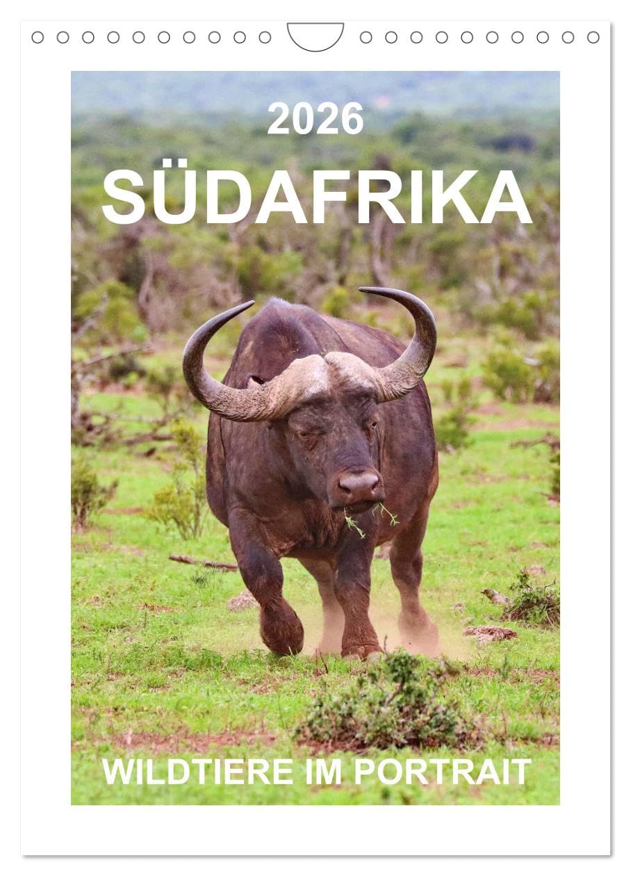 SÜDAFRIKA - WILDTIERE IM PORTRAIT (Wandkalender 2026 DIN A4 hoch), CALVENDO Monatskalender Film, Art & Culture