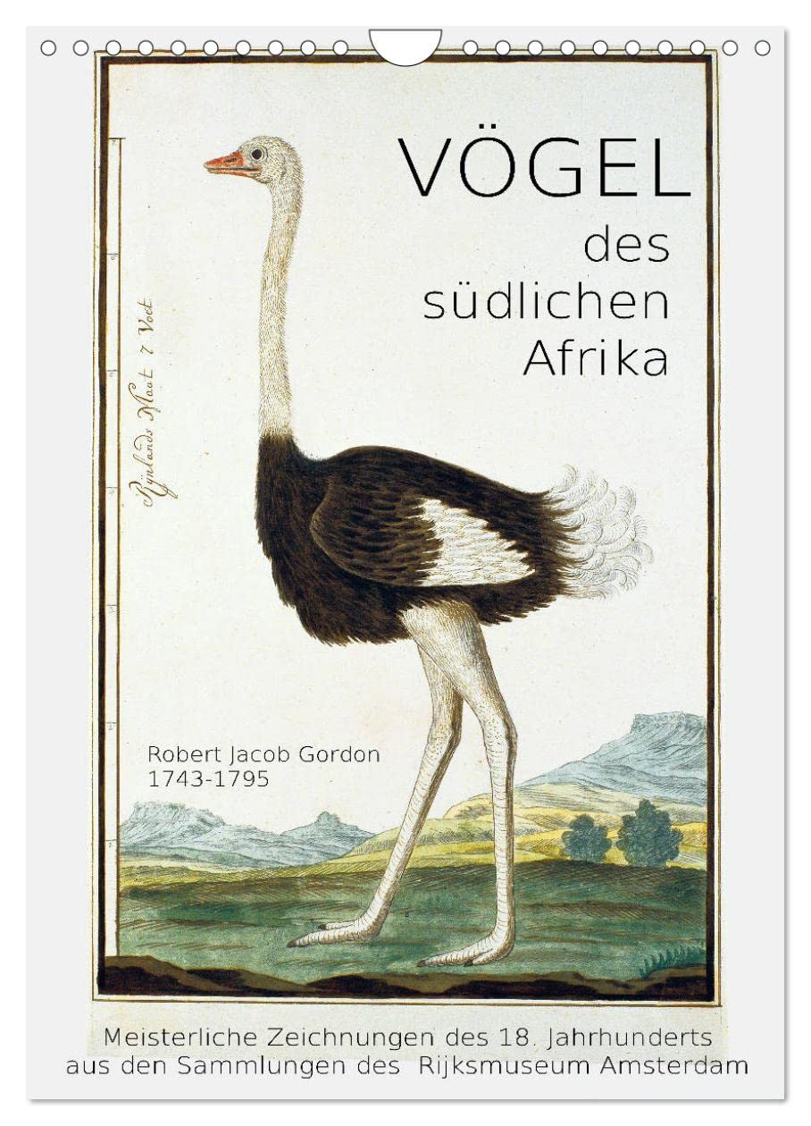 Vögel des südlichen Afrika (Wandkalender 2026 DIN A4 hoch), CALVENDO Monatskalender Film, Art & Culture
