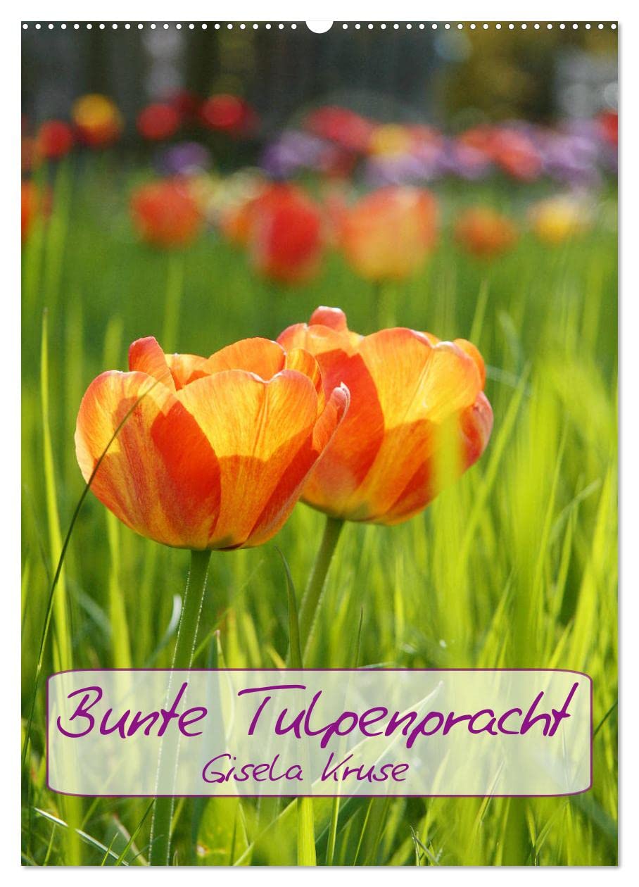 Bunte Tulpenpracht (Wandkalender 2026 DIN A2 hoch), CALVENDO Monatskalender Business & Technology