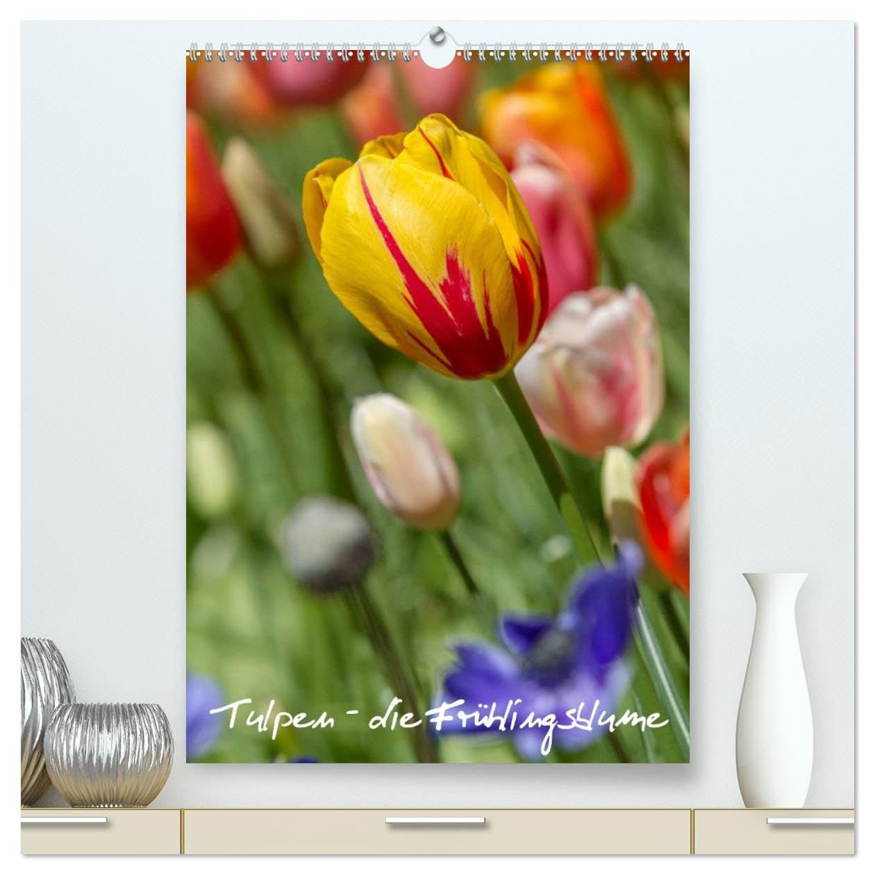 Tulpen - die Frühlingsblume (hochwertiger Premium Wandkalender 2026 DIN A2 hoch), Kunstdruck in Hochglanz Photography