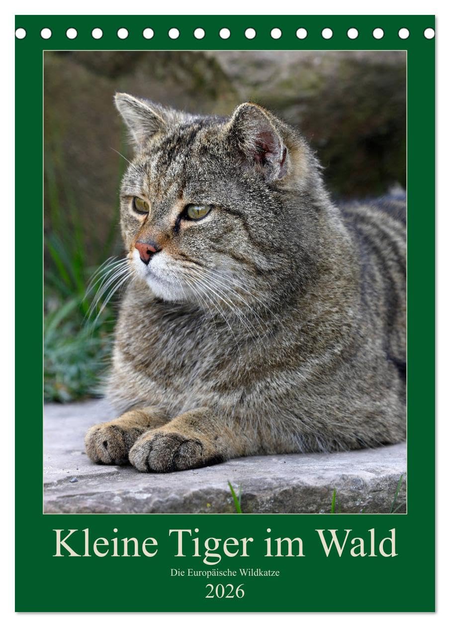 Kleine Tiger im Wald (Tischkalender 2026 DIN A5 hoch), CALVENDO Monatskalender Natural Sciences