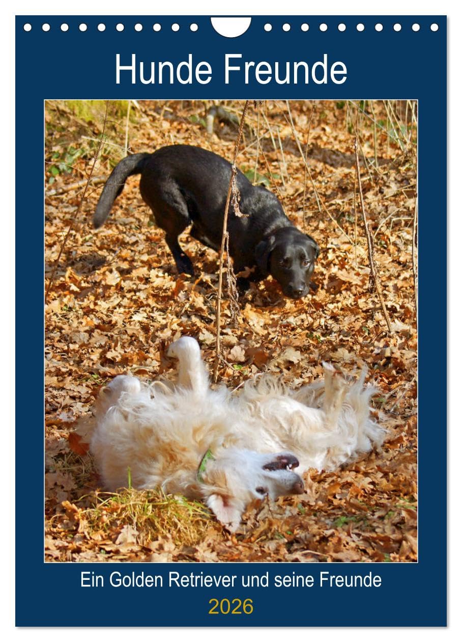 Hunde Freunde (Wandkalender 2026 DIN A4 hoch), CALVENDO Monatskalender Natural Sciences