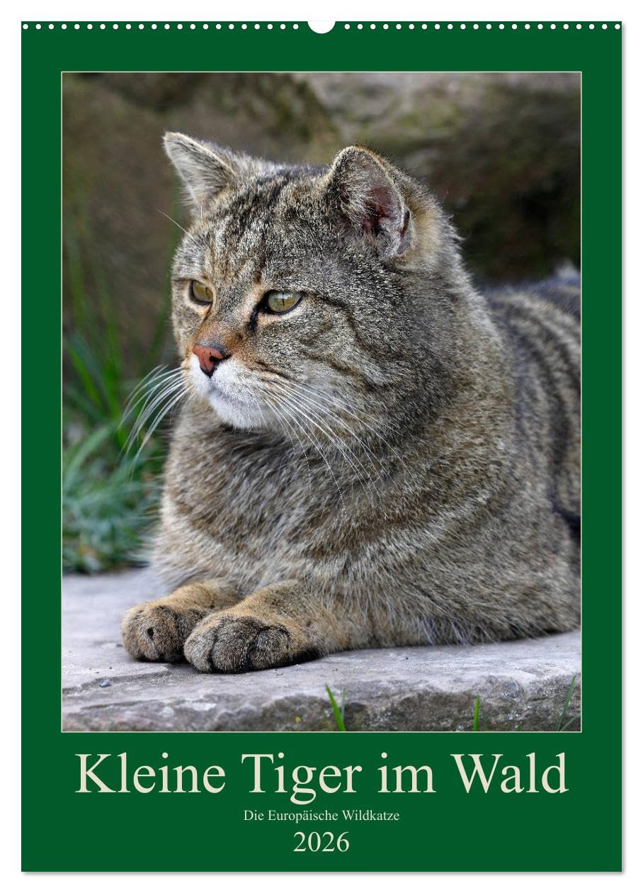 Kleine Tiger im Wald (Wandkalender 2026 DIN A2 hoch), CALVENDO Monatskalender Natural Sciences