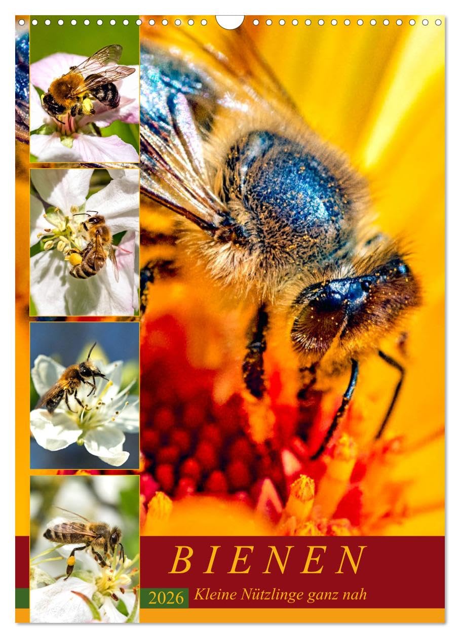 BIENEN - Kleine Nützlinge ganz nah (Wandkalender 2026 DIN A3 hoch), CALVENDO Monatskalender Film, Art & Culture