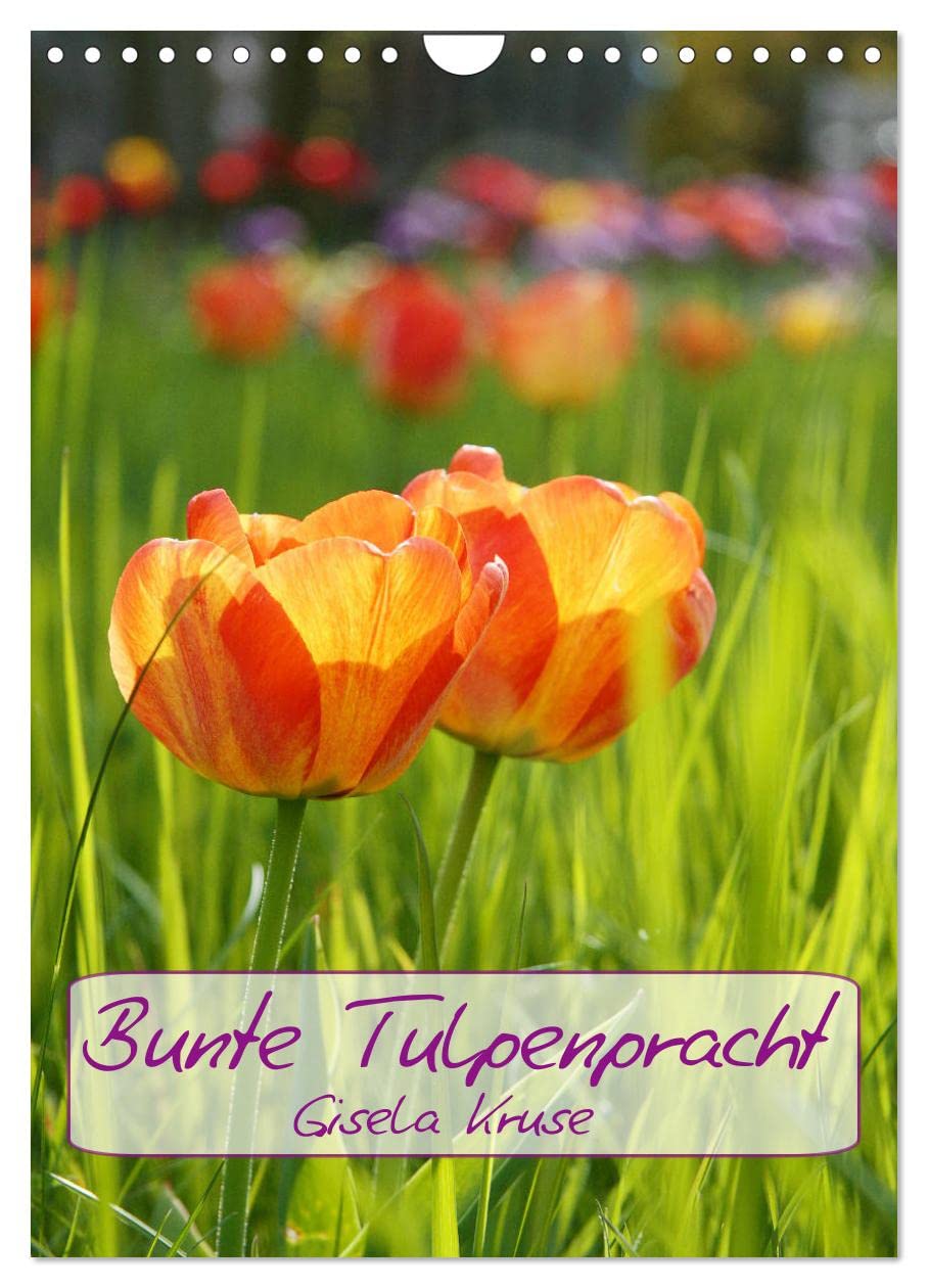 Bunte Tulpenpracht (Wandkalender 2026 DIN A4 hoch), CALVENDO Monatskalender Business & Technology