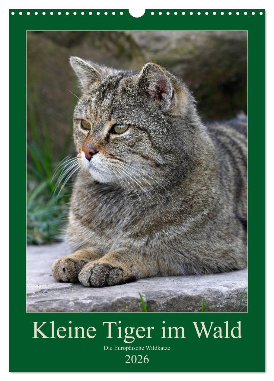 Kleine Tiger im Wald (Wandkalender 2026 DIN A3 hoch), CALVENDO Monatskalender Natural Sciences