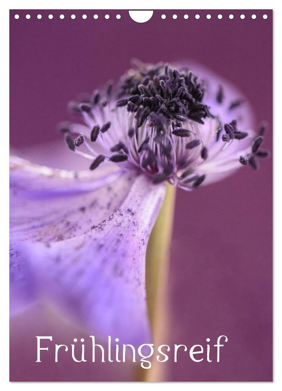 Frühlingsreif (Wandkalender 2026 DIN A4 hoch), CALVENDO Monatskalender: Zarte Frühlingsblumen zeigen sich in ihrer vollen Schönheit und verzaubern jeden Blumenfreund. (CALVENDO Natur) Leisure, Home & Garden