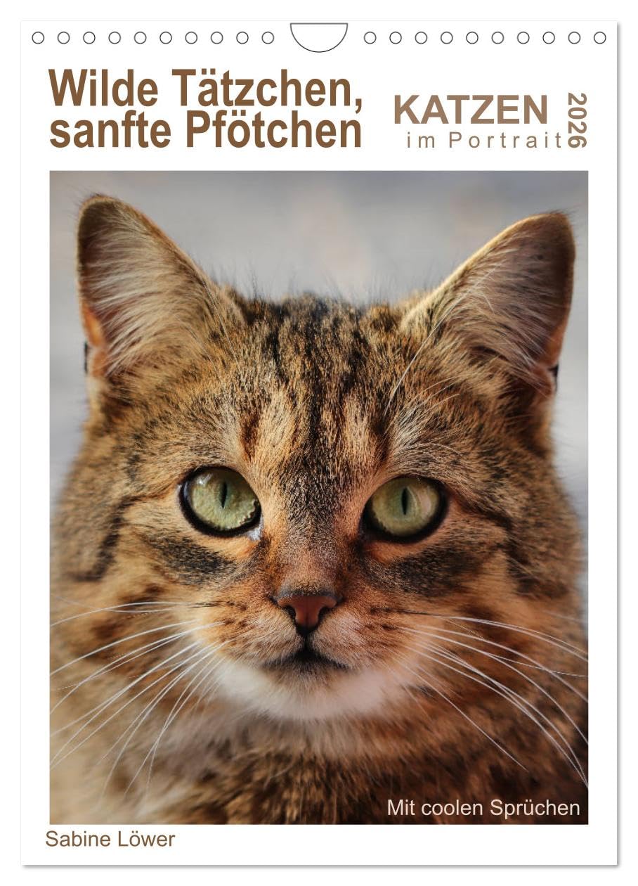 Wilde Tätzchen, sanfte Pfötchen (Wandkalender 2026 DIN A4 hoch), CALVENDO Monatskalender Social Sciences