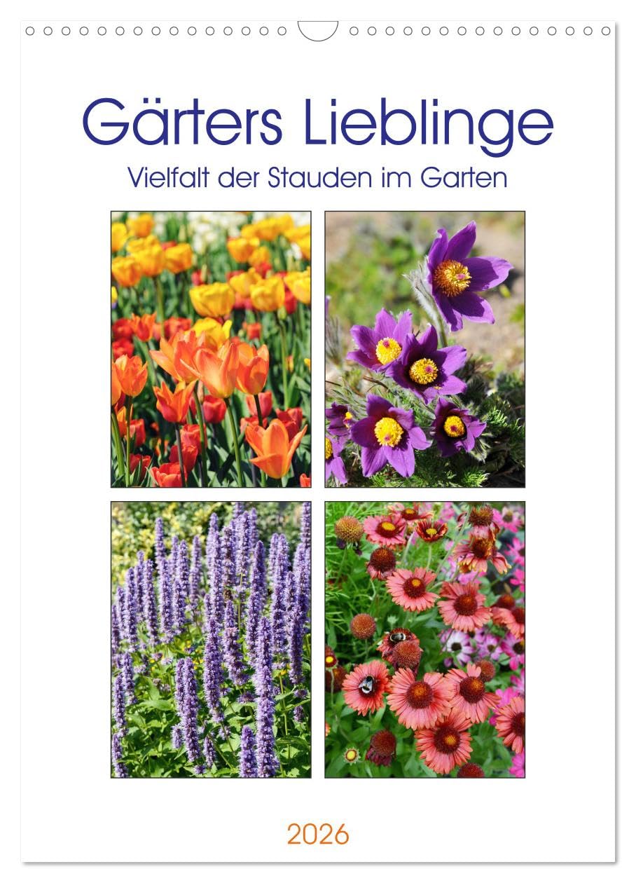 Gärtners Lieblinge - Vielfalt der Stauden im Garten (Wandkalender 2026 DIN A3 hoch), CALVENDO Monatskalender Leisure, Home & Garden