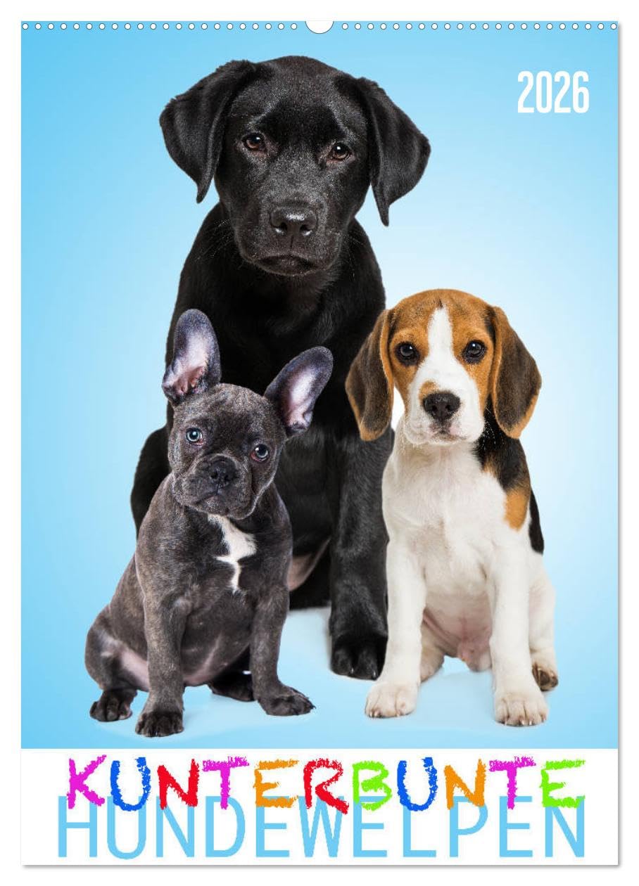 Kunterbunte Hundewelpen (Wandkalender 2026 DIN A2 hoch), CALVENDO Monatskalender Natural Sciences