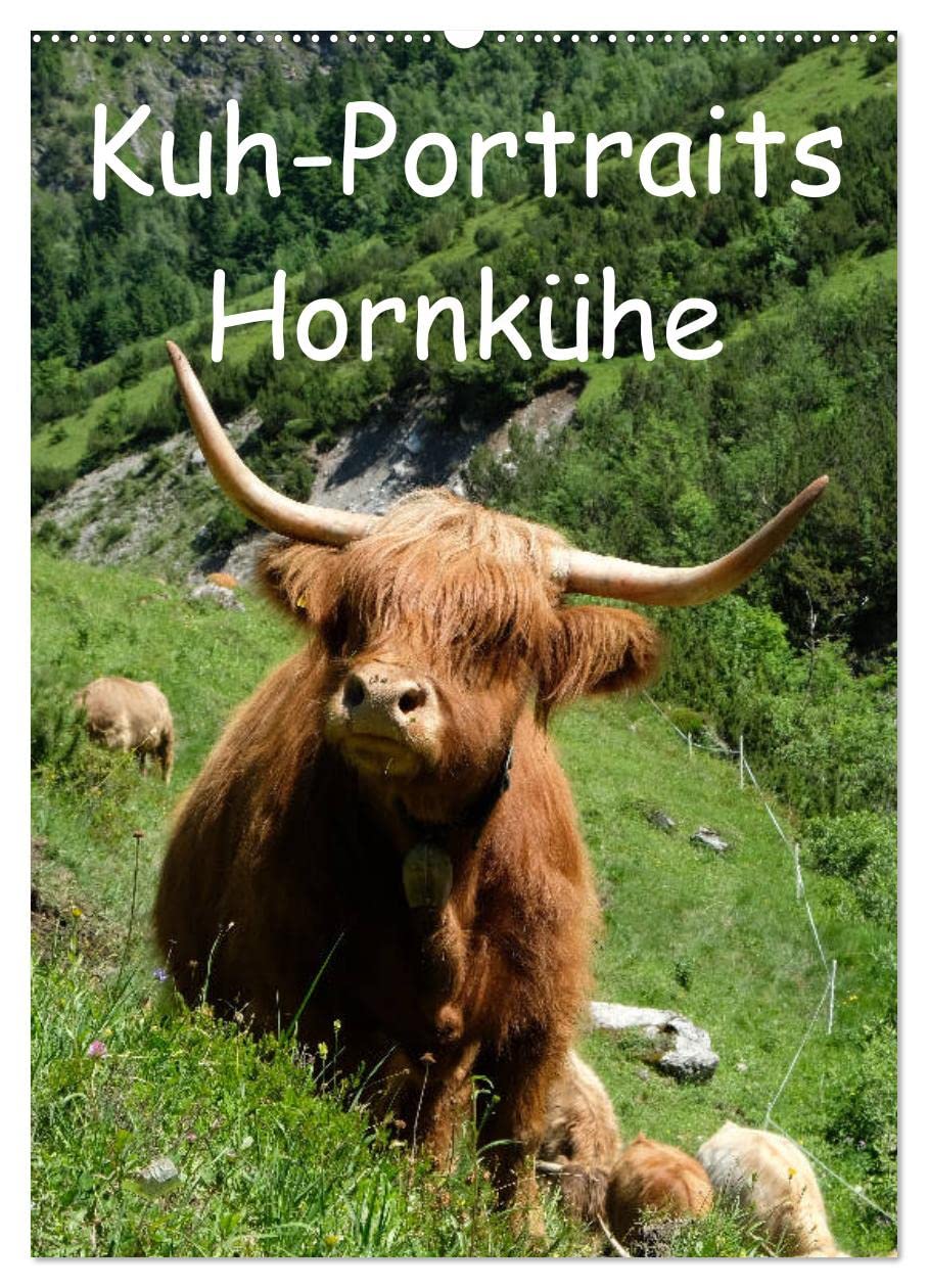 Kuhportraits Hornkühe (Wandkalender 2026 DIN A2 hoch), CALVENDO Monatskalender Natural Sciences