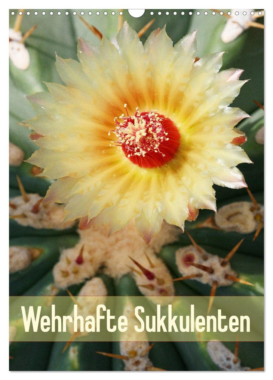 Wehrhafte Sukkulenten (Wandkalender 2026 DIN A3 hoch), CALVENDO Monatskalender Business & Technology