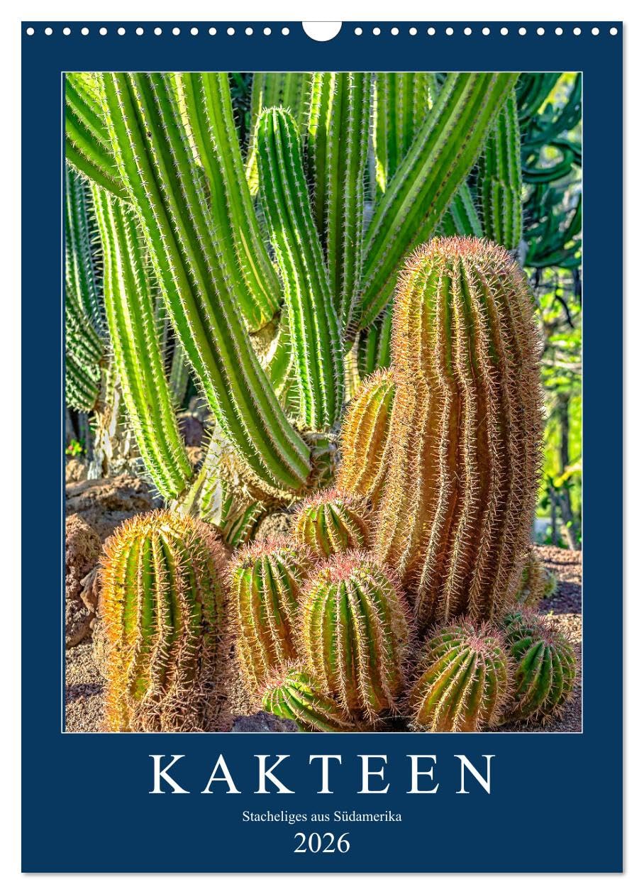 Kakteen - Stacheliges aus Südamerika (Wandkalender 2026 DIN A3 hoch), CALVENDO Monatskalender Leisure, Home & Garden