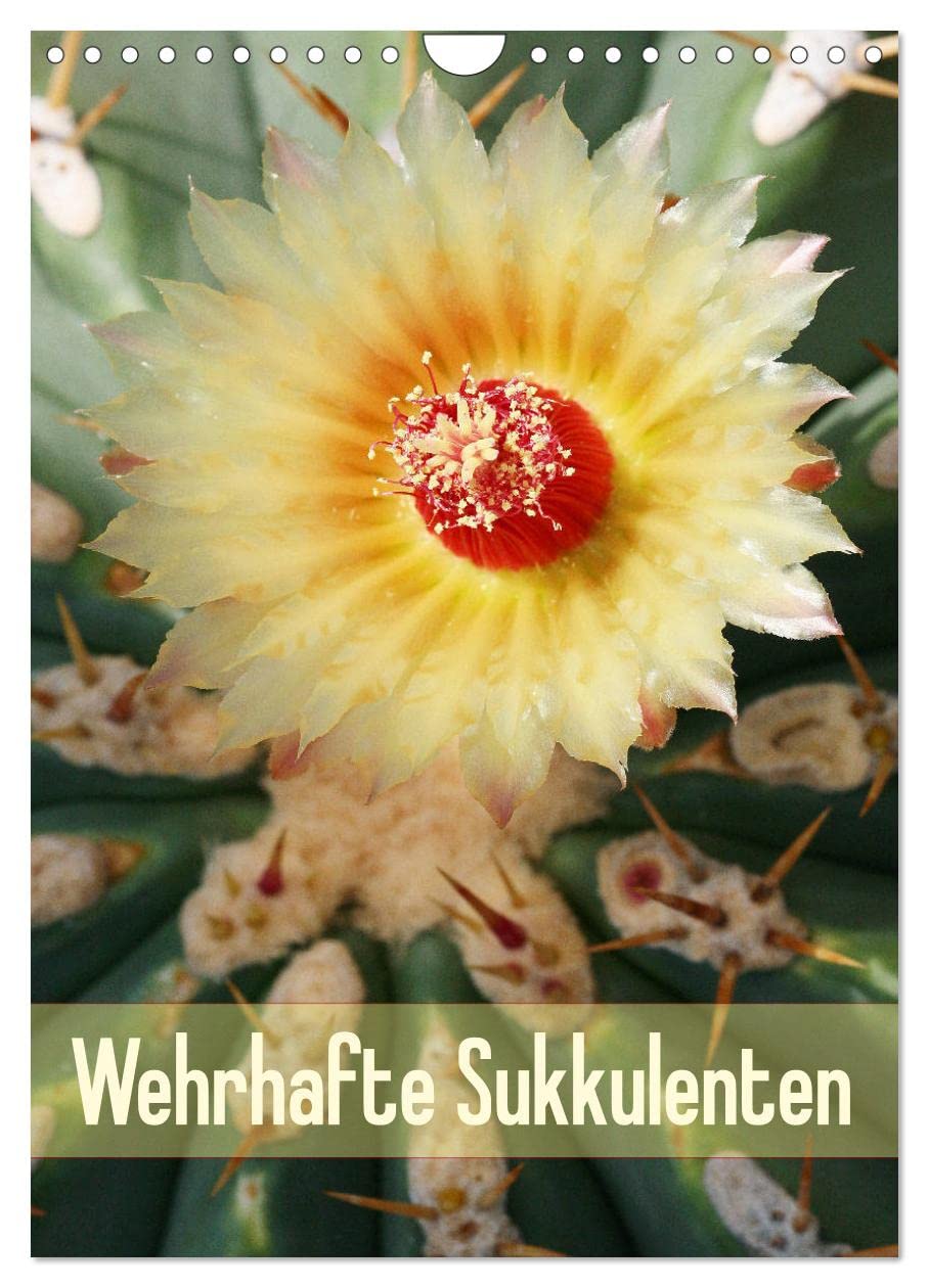 Wehrhafte Sukkulenten (Wandkalender 2026 DIN A4 hoch), CALVENDO Monatskalender Business & Technology