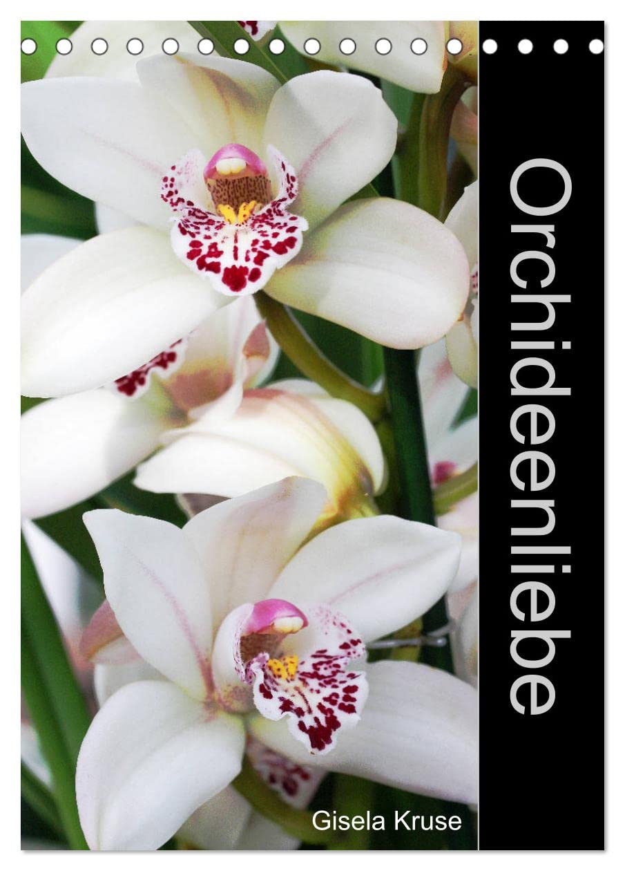 Orchideenliebe (Tischkalender 2026 DIN A5 hoch), CALVENDO Monatskalender Business & Technology
