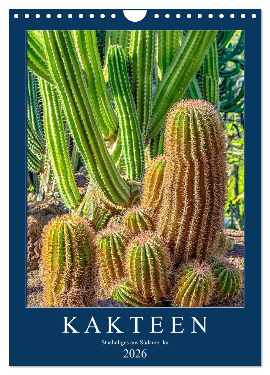 Kakteen - Stacheliges aus Südamerika (Wandkalender 2026 DIN A4 hoch), CALVENDO Monatskalender Leisure, Home & Garden