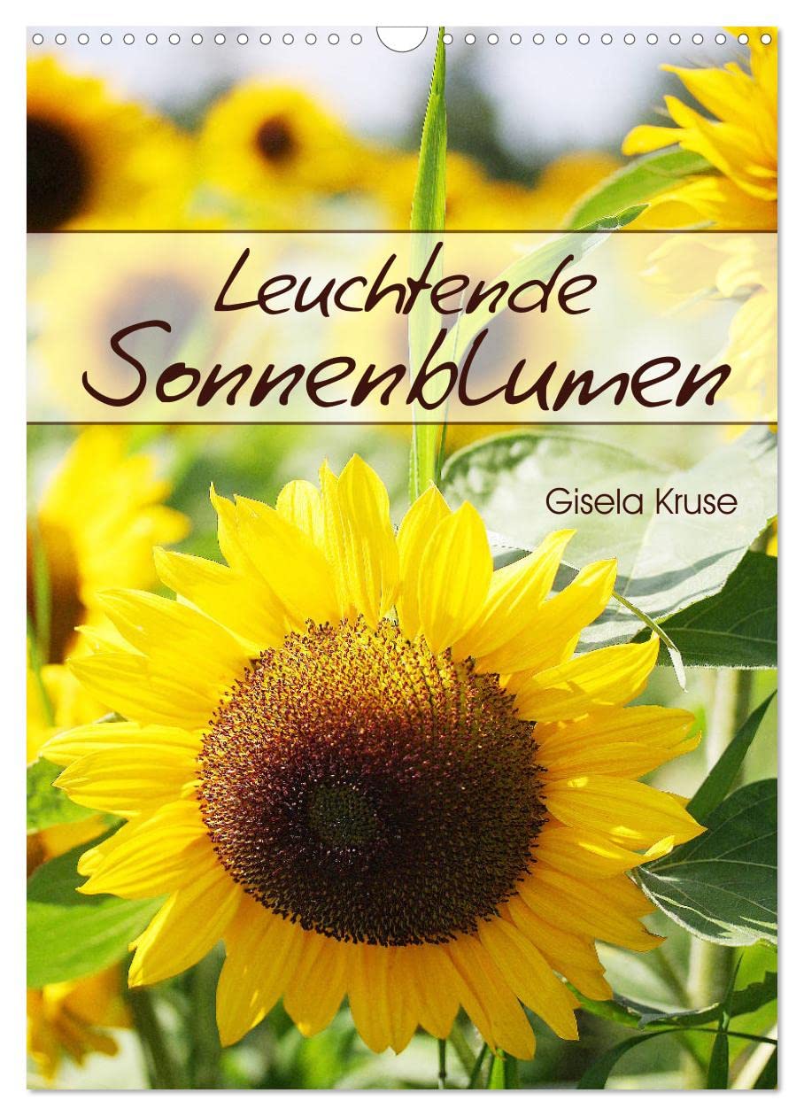 Leuchtende Sonnenblumen (Wandkalender 2026 DIN A3 hoch), CALVENDO Monatskalender Garden & Plants
