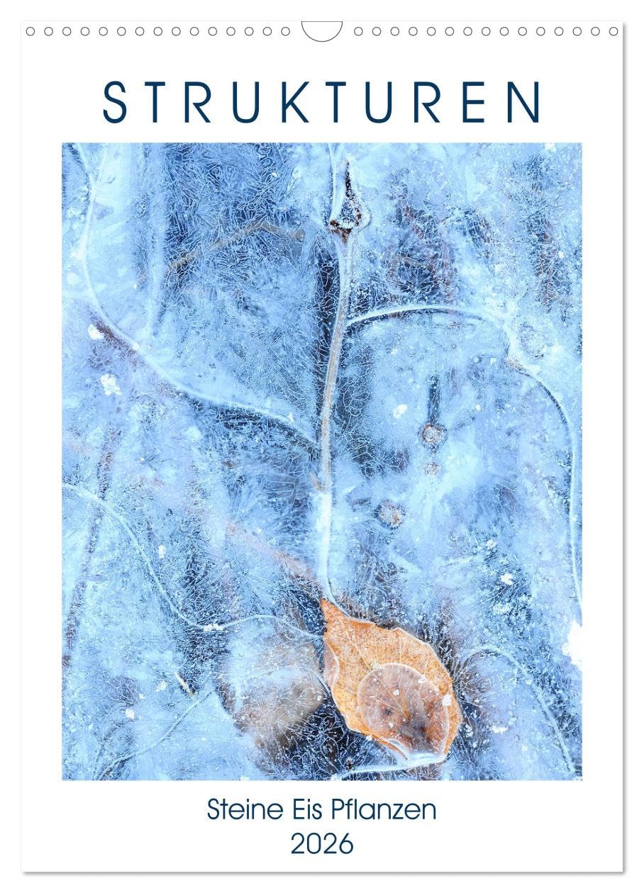 Strukturen - Steine, Eis, Pflanzen (Wandkalender 2026 DIN A3 hoch), CALVENDO Monatskalender Photography
