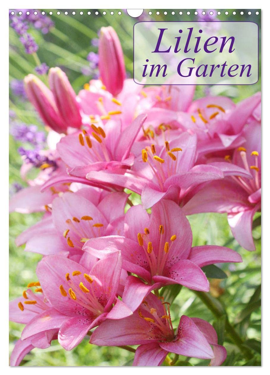 Lilien im Garten (Wandkalender 2026 DIN A3 hoch), CALVENDO Monatskalender Business & Technology