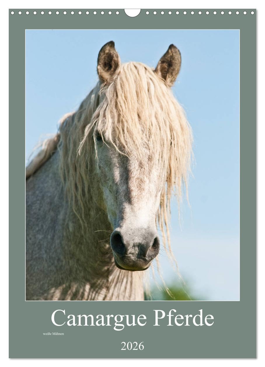 Camargue Pferde - weiße Mähnen (Wandkalender 2026 DIN A3 hoch), CALVENDO Monatskalender Natural Sciences