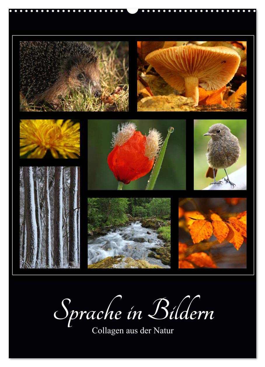 Sprache in Bildern - Collagen aus der Natur (Wandkalender 2026 DIN A2 hoch), CALVENDO Monatskalender Leisure, Home & Garden