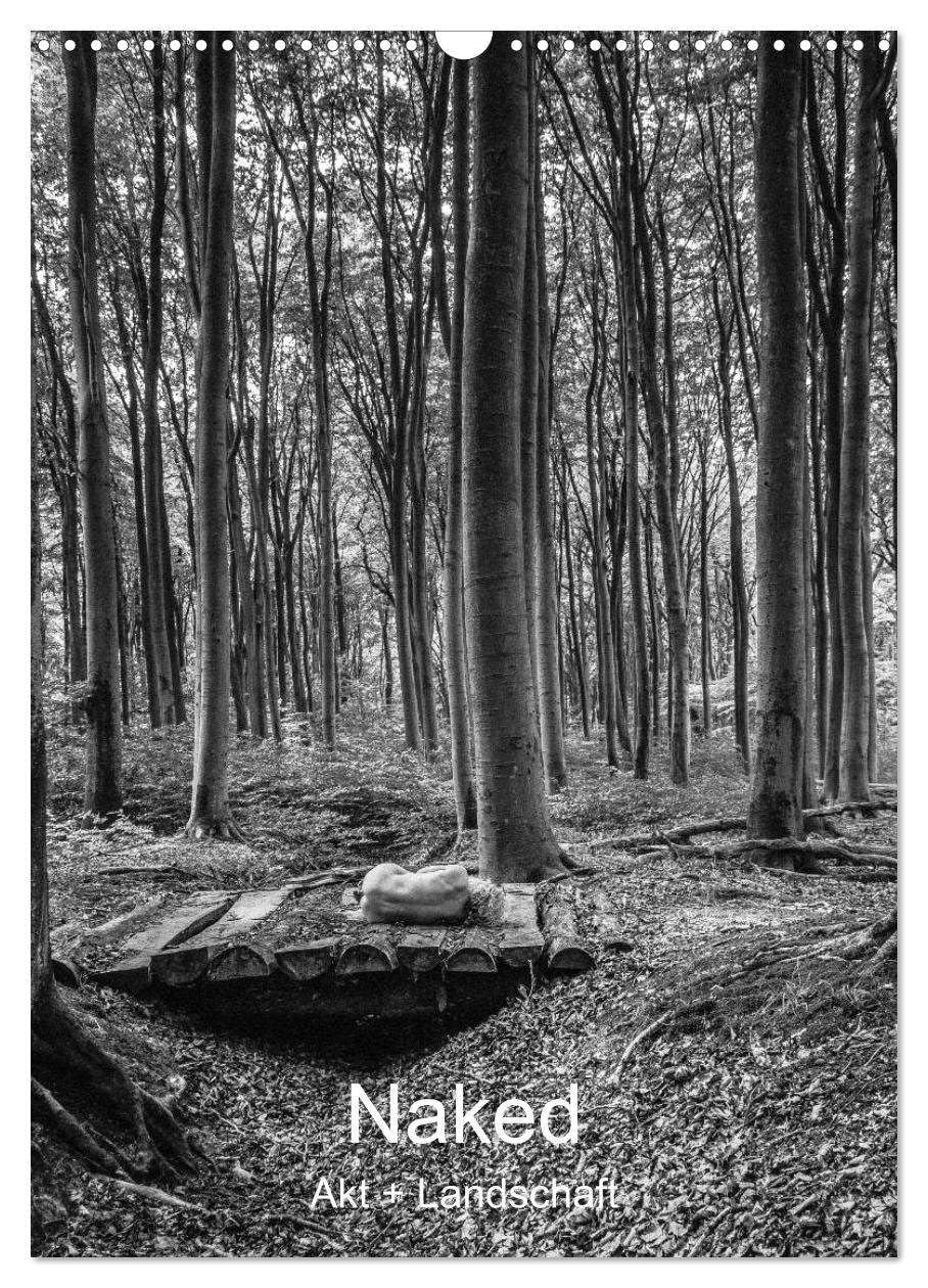 Naked: Akt + Landschaft (Wandkalender 2026 DIN A3 hoch), CALVENDO Monatskalender Calendars