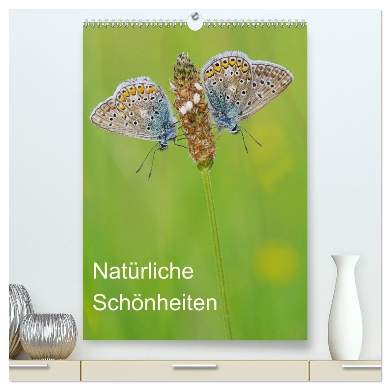 Insekten,Schönheiten der Natur (hochwertiger Premium Wandkalender 2026 DIN A2 hoch), Kunstdruck in Hochglanz Film, Art & Culture