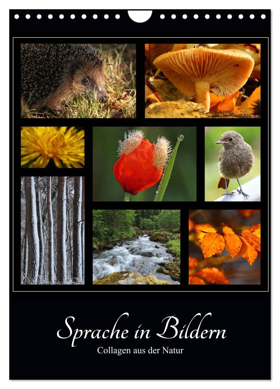 Sprache in Bildern - Collagen aus der Natur (Wandkalender 2026 DIN A4 hoch), CALVENDO Monatskalender Leisure, Home & Garden