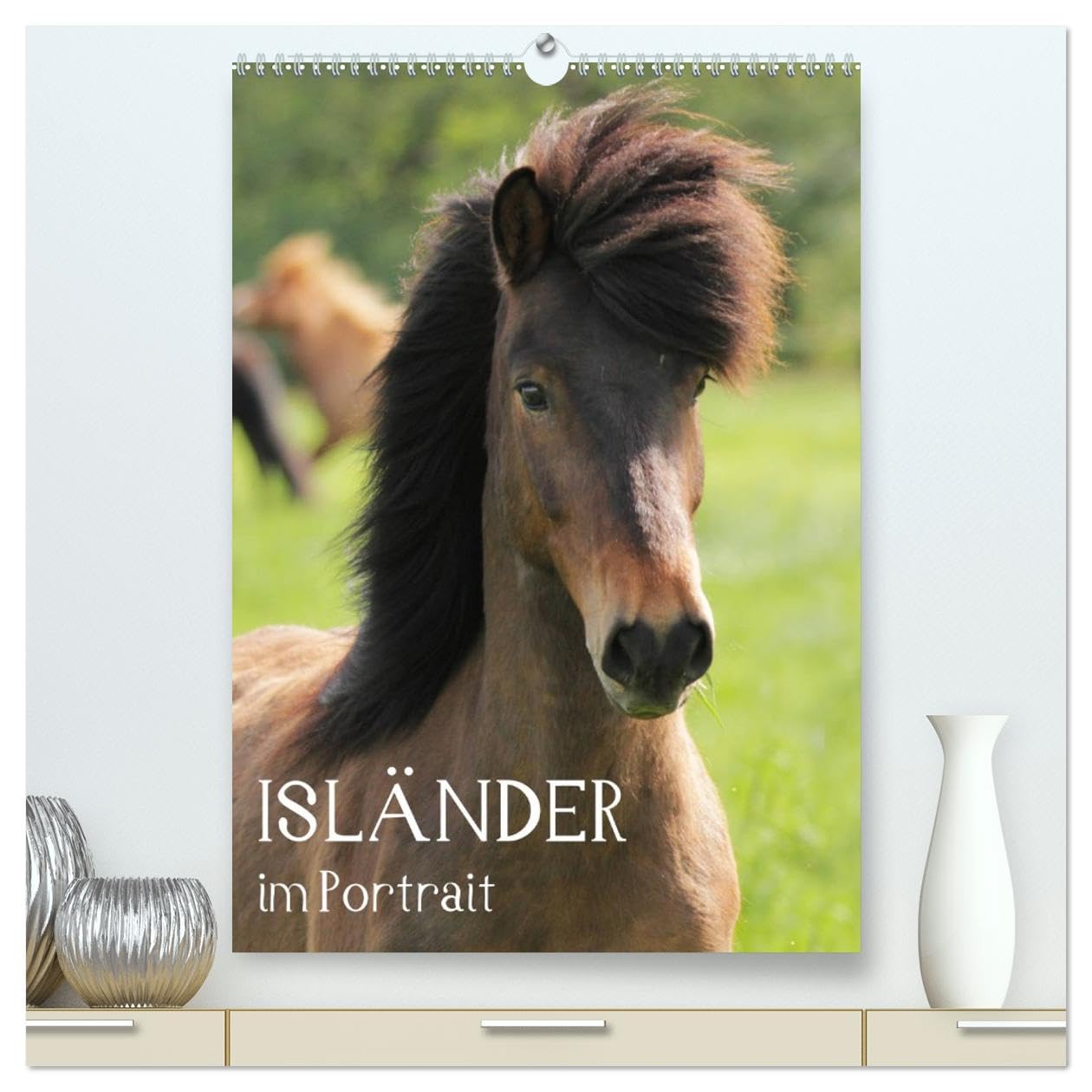 Isländer im Portrait (hochwertiger Premium Wandkalender 2026 DIN A2 hoch), Kunstdruck in Hochglanz Natural Sciences