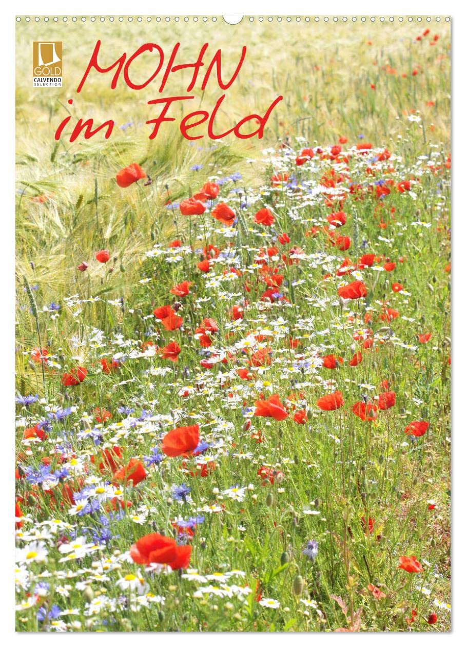 Mohn im Feld (Wandkalender 2026 DIN A2 hoch), CALVENDO Monatskalender Film, Art & Culture
