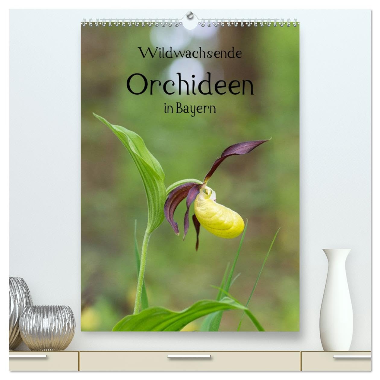 Wildwachsende Orchideen in Bayern (hochwertiger Premium Wandkalender 2026 DIN A2 hoch), Kunstdruck in Hochglanz Living & Furnishing
