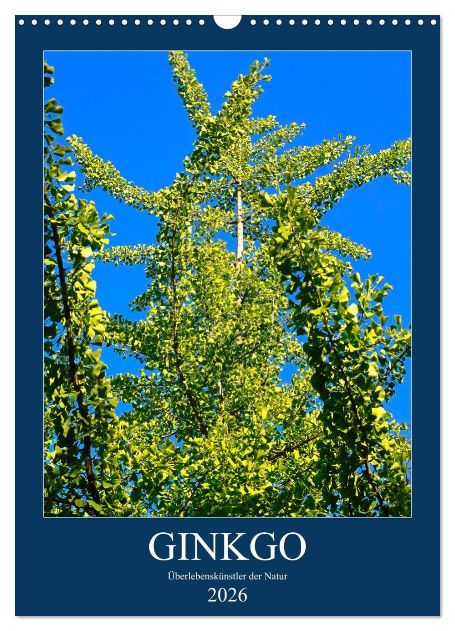 Ginkgo (Wandkalender 2026 DIN A3 hoch), CALVENDO Monatskalender Leisure, Home & Garden
