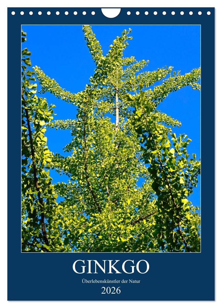 Ginkgo (Wandkalender 2026 DIN A4 hoch), CALVENDO Monatskalender Leisure, Home & Garden