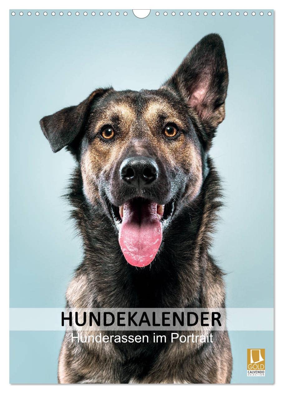 Hundekalender - Hunderassen im Portrait (Wandkalender 2026 DIN A3 hoch), CALVENDO Monatskalender Photography