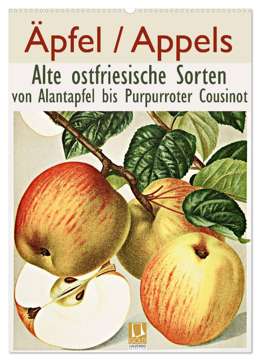 Äpfel/Appels. Alte ostfriesische Sorten (Wandkalender 2026 DIN A2 hoch), CALVENDO Monatskalender Leisure, Home & Garden