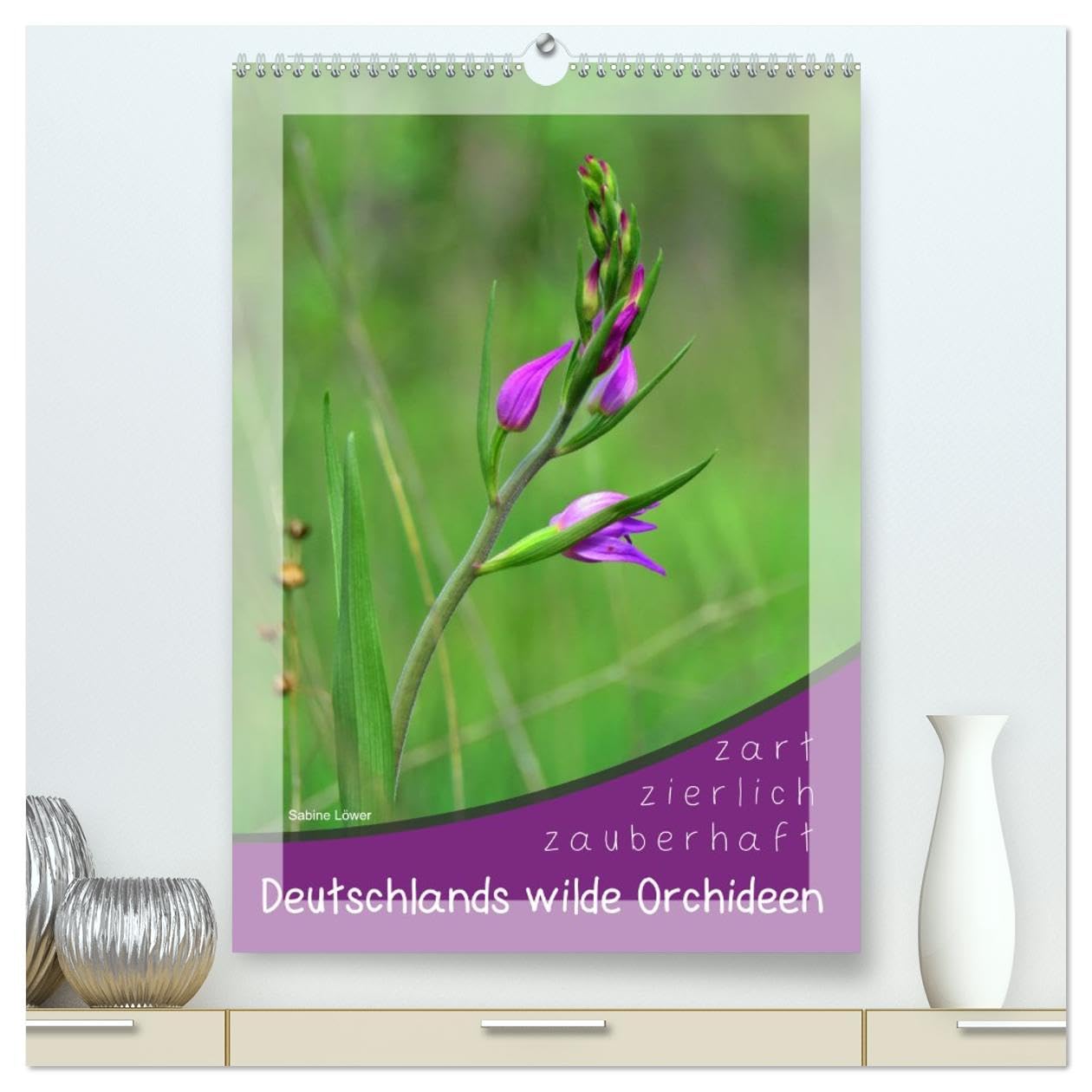 Deutschlands wilde Orchideen (hochwertiger Premium Wandkalender 2026 DIN A2 hoch), Kunstdruck in Hochglanz Living & Furnishing