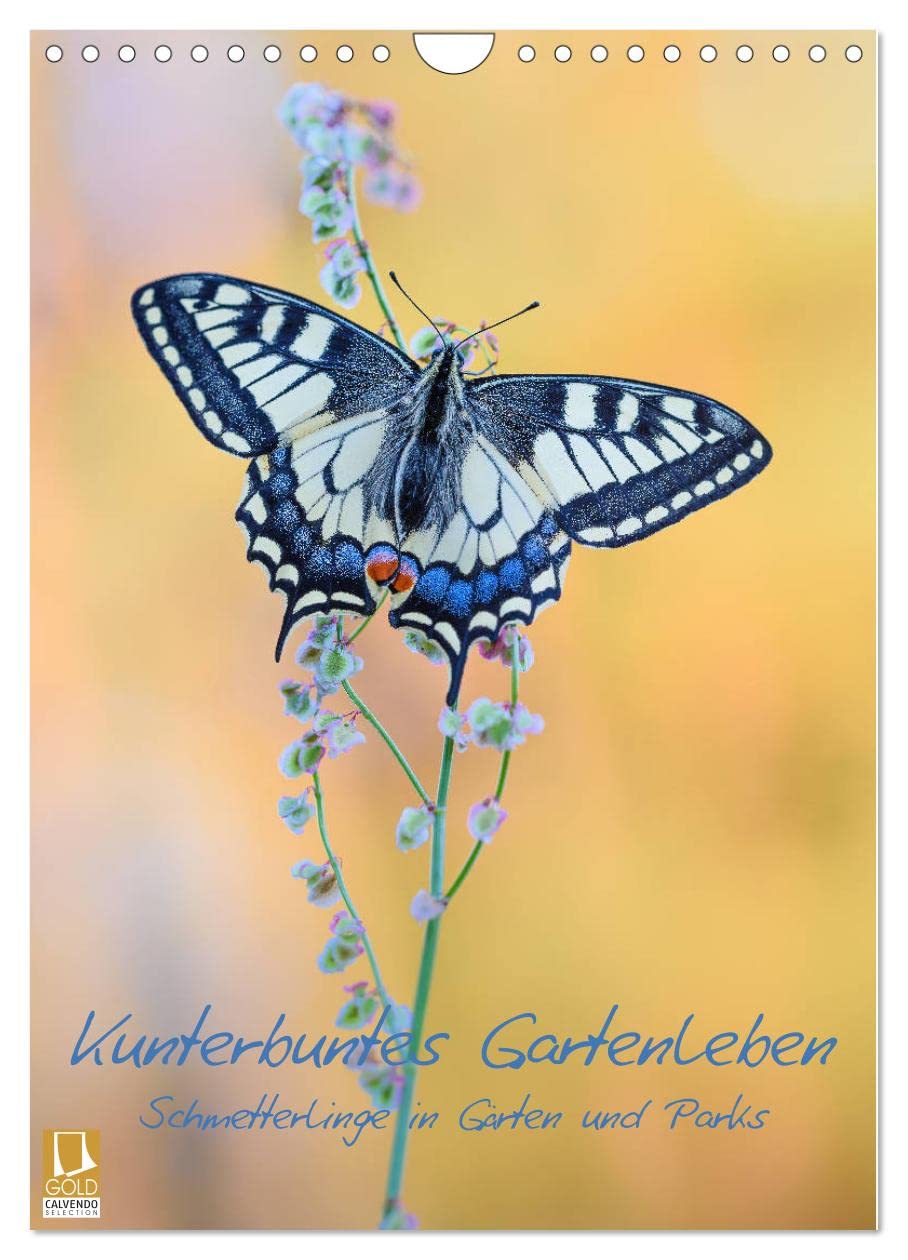 Kunterbuntes Gartenleben - Schmetterlinge in Gärten und Parks (Wandkalender 2026 DIN A4 hoch), CALVENDO Monatskalender Photography