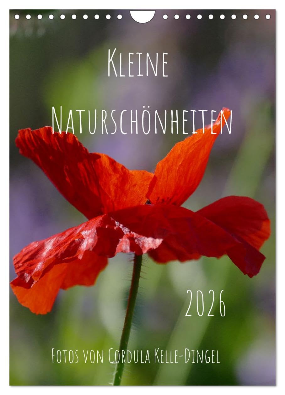 Kleine Naturschönheiten (Wandkalender 2026 DIN A4 hoch), CALVENDO Monatskalender Film, Art & Culture