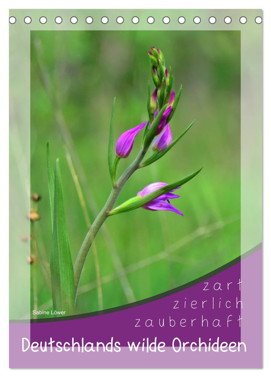Deutschlands wilde Orchideen (Tischkalender 2026 DIN A5 hoch), CALVENDO Monatskalender: Zart, zierlich und zauberhaft ... (CALVENDO Natur) Living & Furnishing